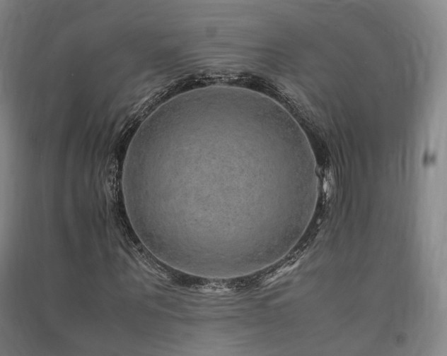 X0000091490867200708161436