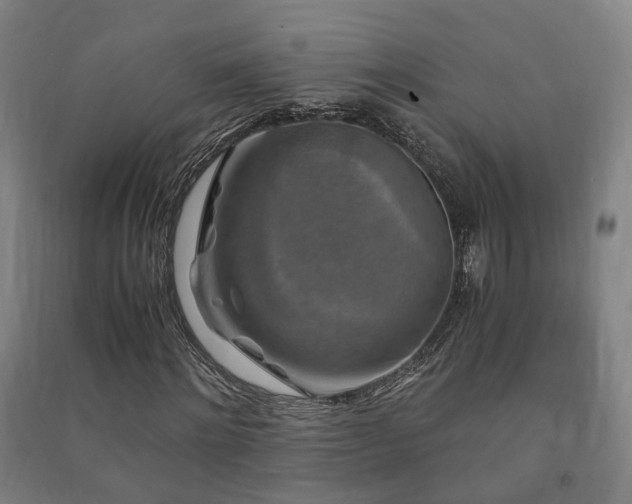 X0000091490868200708161436