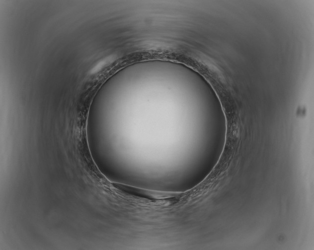 X0000091490869200708161436