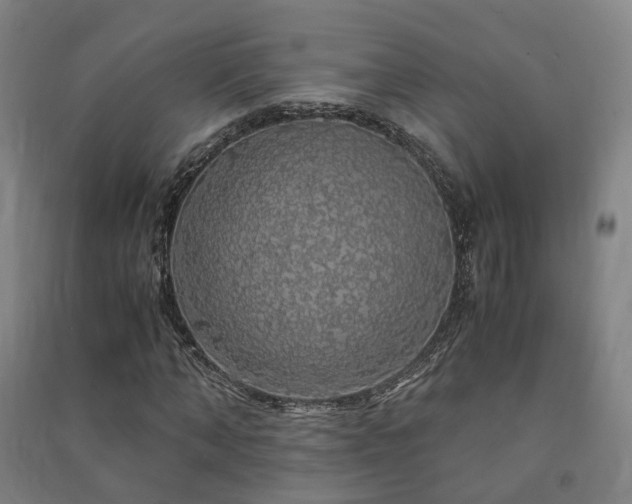 X0000091490870200708161436