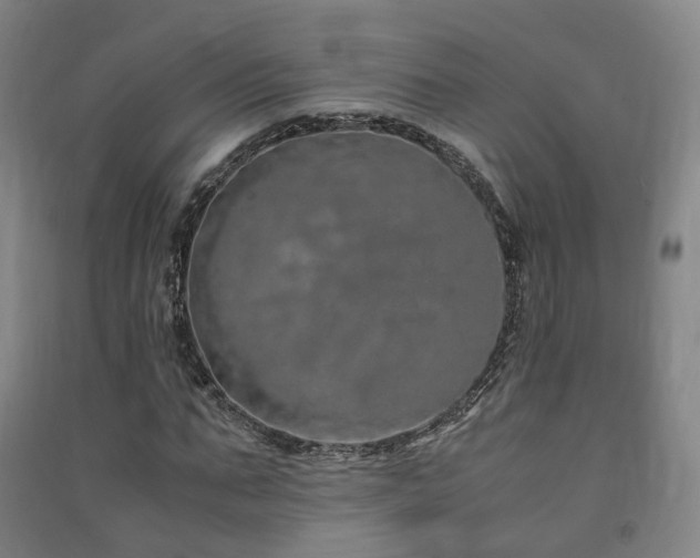X0000091490871200708161436
