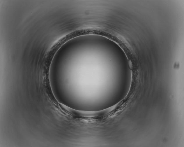 X0000091490872200708161436