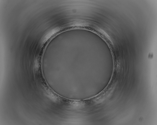 X0000091490874200708161436