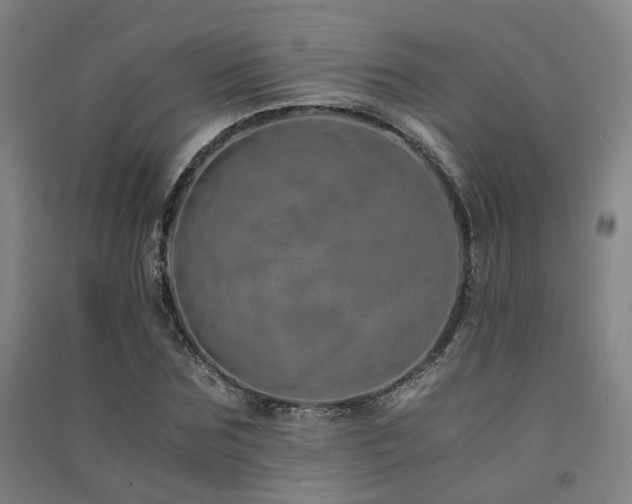 X0000091490875200708161436