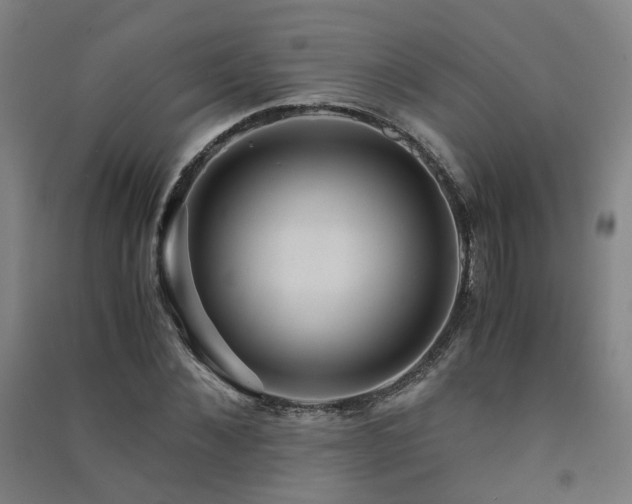 X0000091490876200708161436
