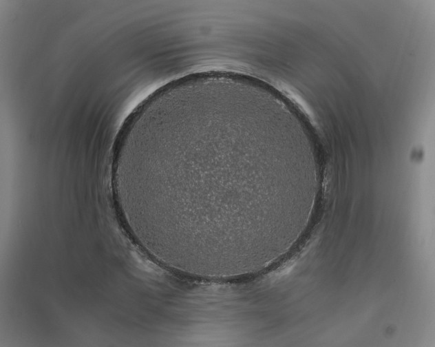 X0000091490877200708161436