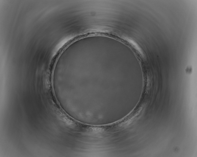 X0000091490878200708161436