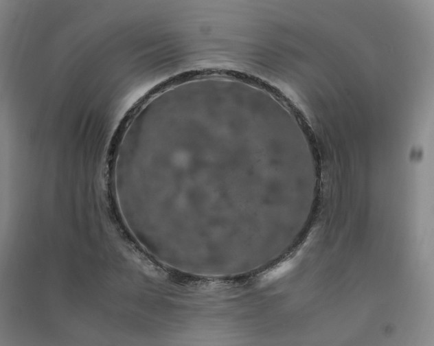 X0000091490879200708161436