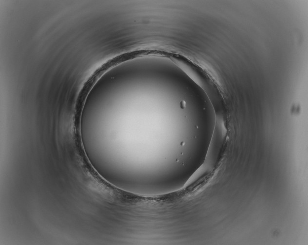 X0000091490880200708161436