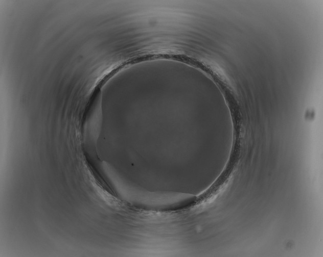X0000091490881200708161436