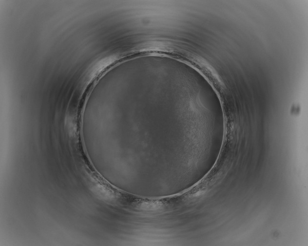 X0000091490882200708161436