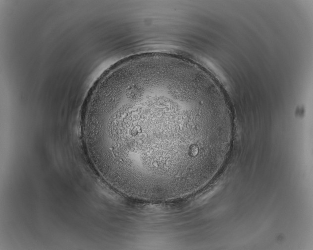 X0000091490883200708161436