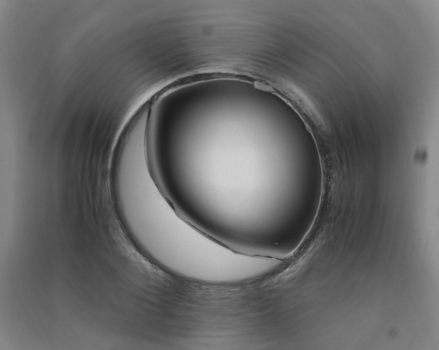 X0000091490884200708161436