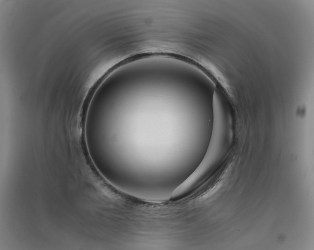 X0000091490885200708161436