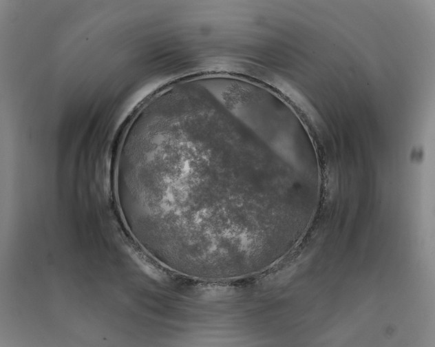 X0000091490886200708161436