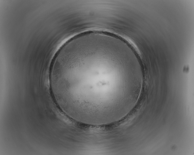 X0000091490887200708161436