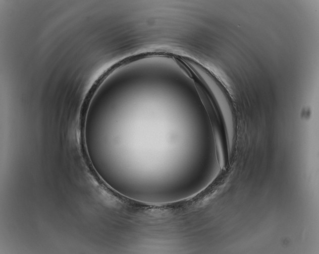 X0000091490888200708161436