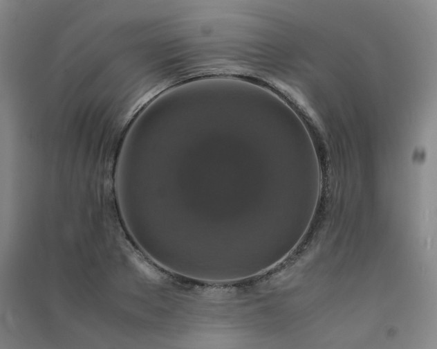 X0000091490889200708161436
