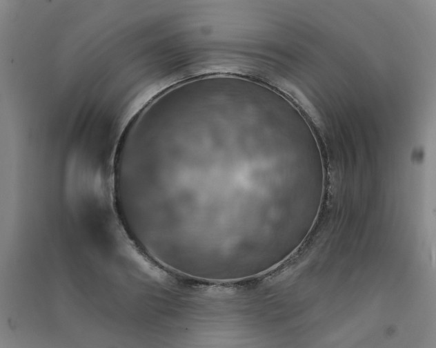 X0000091490890200708161436