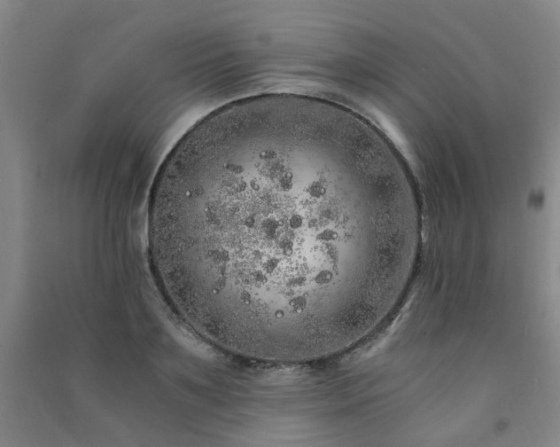 X0000091490891200708161436