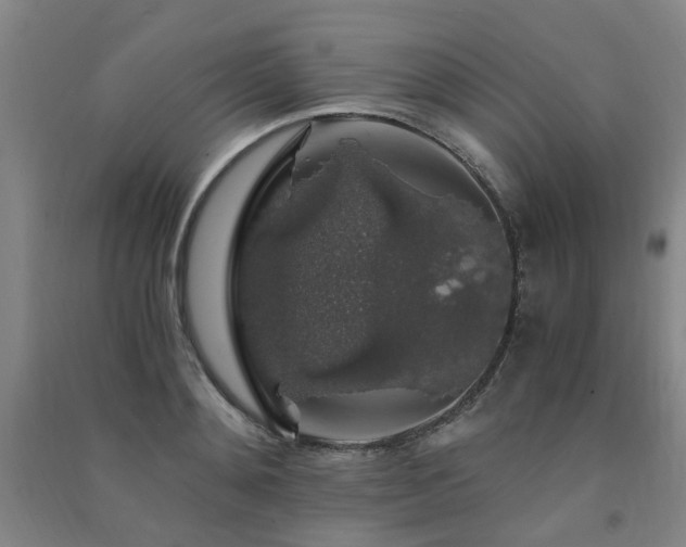 X0000091490892200708161436