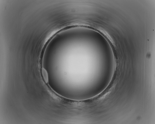X0000091490893200708161436
