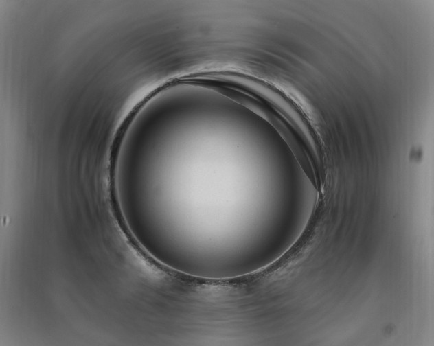 X0000091490894200708161436