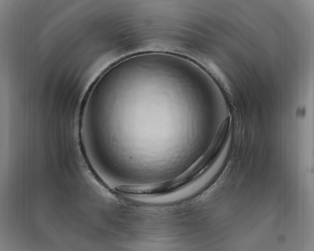X0000091490896200708161436