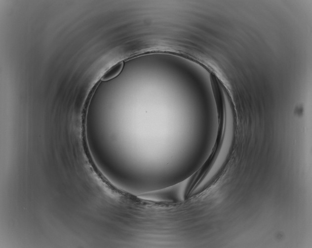 X0000091490898200708161436