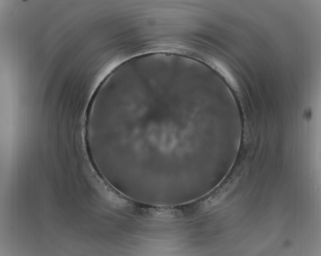 X0000091490899200708161436