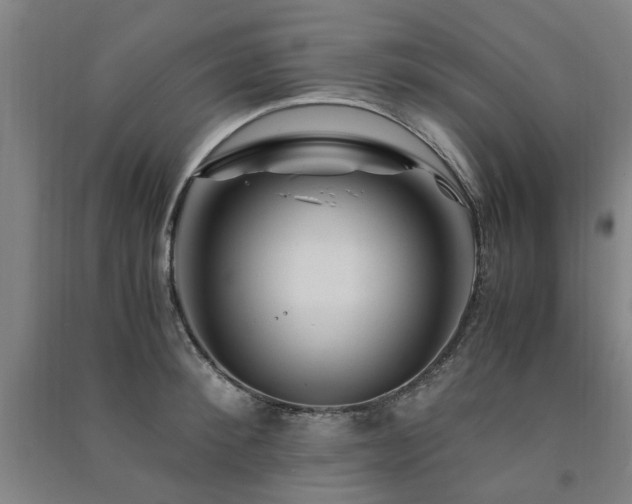X0000091490900200708161436