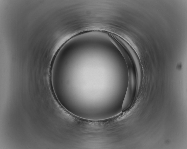 X0000091490901200708161436