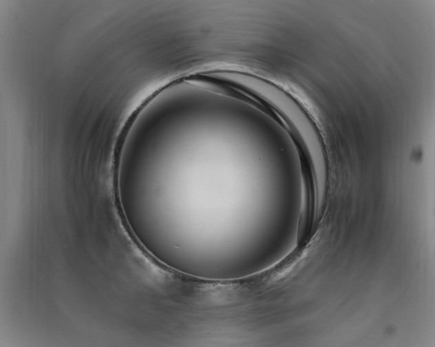 X0000091490902200708161436