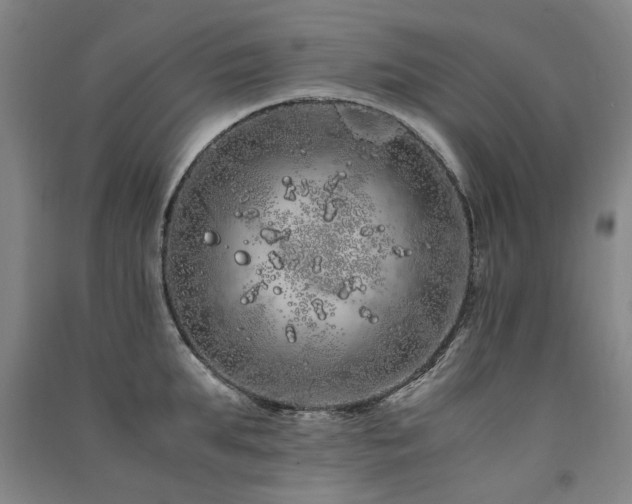 X0000091490903200708161436