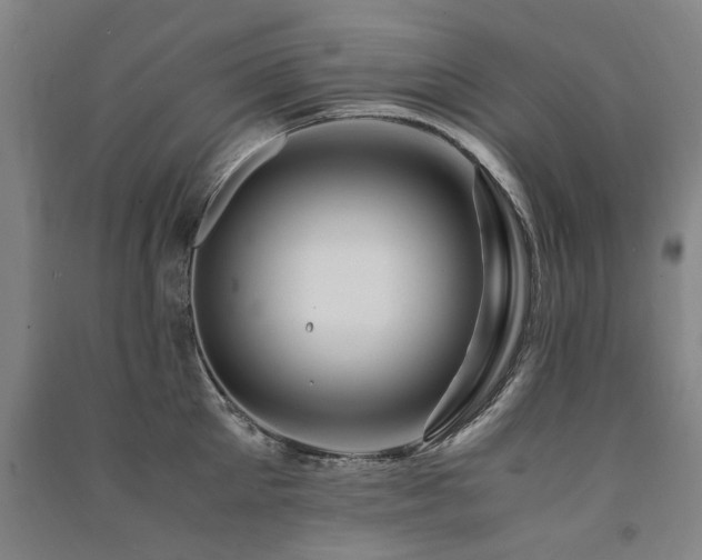 X0000091490905200708161436