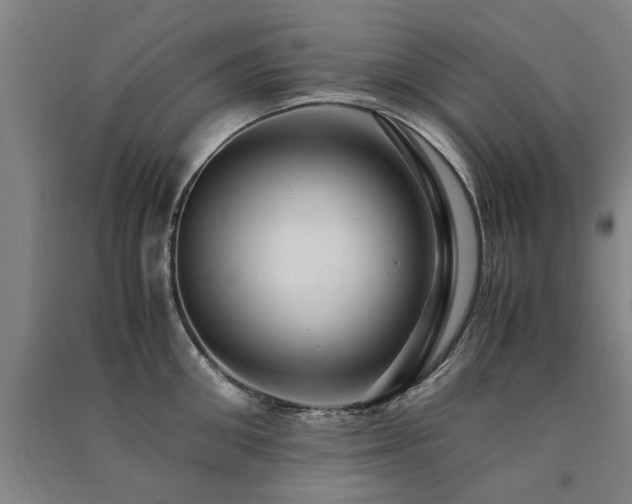 X0000091490906200708161436