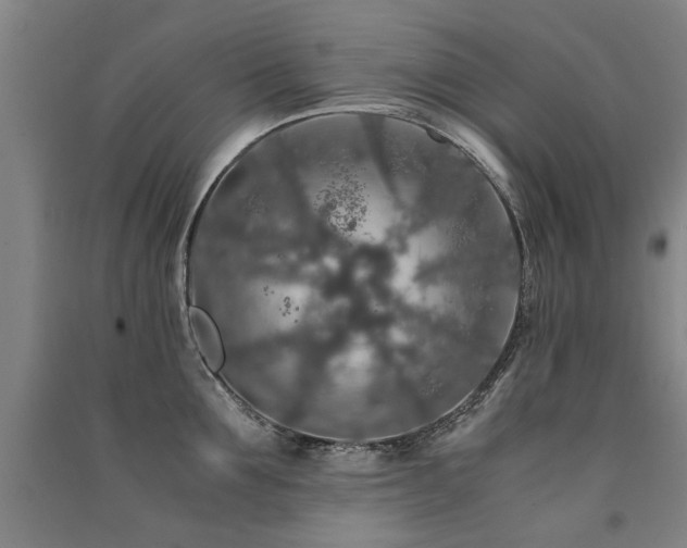 X0000091490907200708161436