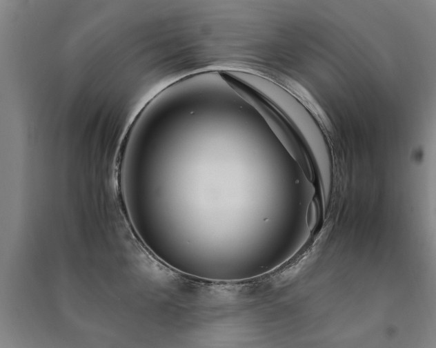 X0000091490908200708161436