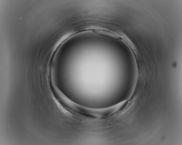 X0000091490909200708161436