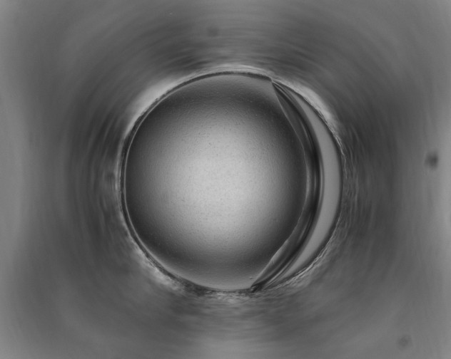 X0000091490910200708161436