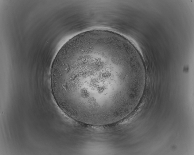 X0000091490911200708161436