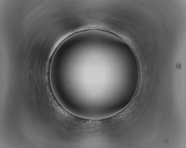 X0000091490912200708161436