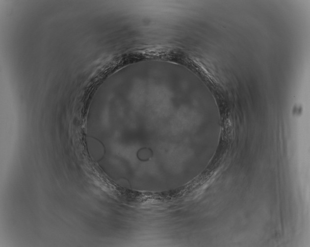 X0000091490913200708161435