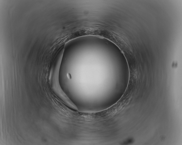 X0000091490914200708161435