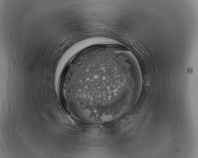 X0000091490916200708161435