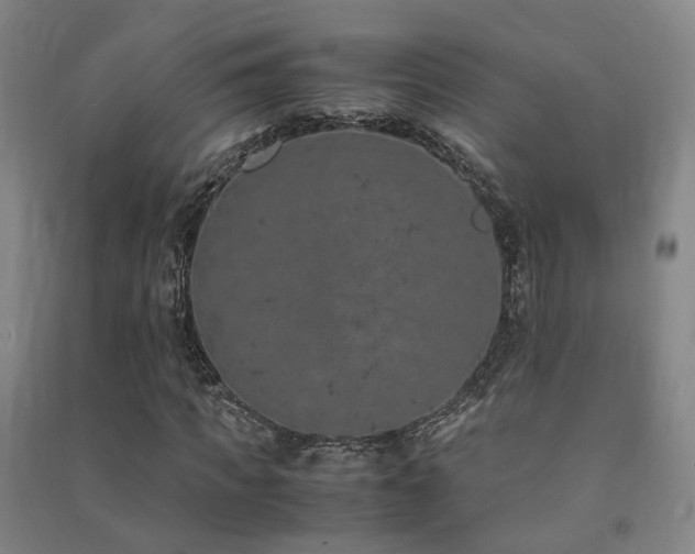 X0000091490917200708161435