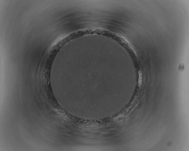 X0000091490919200708161435