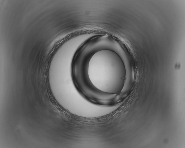 X0000091490920200708161435