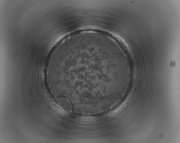 X0000091490921200708161435