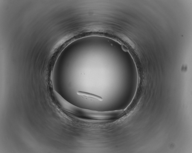 X0000091490922200708161435